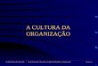 A CULTURA DA ORGANIZAÇÃO Fundação Monsenhor Alves Brás * Acção de Formação: Supervisão e Avaliação da Qualidade nas Organizações Sessão : 08