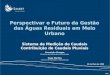 1 Perspectivar o Futuro da Gestão das Águas Residuais em Meio Urbano Sistema de Medição de Caudais Contribuição de Caudais Pluviais 28 de Maio de 2008