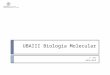 UBAIII Biologia Molecular 1º Ano 2014/2015. 20/nov/2014MJC-T09 Sumário:  Capítulo IX. Tradução da informação genética.  Iniciação  Alongamento  Término
