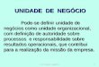 Prof.Renato Logiudice1 UNIDADE DE NEGÓCIO Pode-se definir unidade de negócios como unidade organizacional, com definição de autoridade sobre processos