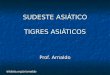 Trilobita.org.br/arnaldo SUDESTE ASIÁTICO TIGRES ASIÁTICOS Prof. Arnaldo