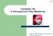 Unidade VII A Perspectiva Pós-Moderna ADM003 – Teoria Geral das Organizações III Professora Michelle Luz