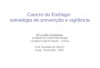 Cancro do Esófago: estratégia de prevenção e vigilância Mª Lurdes Gonçalves Unidade de Gastrenterologia Hospital Espirito Santo – Évora XXII Reunião do
