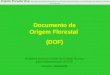 Documento de Origem Florestal (DOF) Projeto Floresta Viva Promoção do manejo sustentável das florestas pela produção e comercialização da madeira no Estado