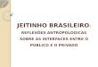 JEITINHO BRASILEIRO : REFLEXÕES ANTROPOLÓGICAS SOBRE AS INTERFACES ENTRE O PÚBLICO E O PRIVADO