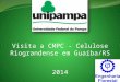 Visita a CMPC - Celulose Riograndense em Guaíba/RS 2014