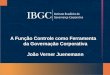 A Função Controle como Ferramenta da Governação Corporativa João Verner Juenemann