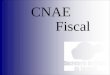 Governo de Sergipe Secretaria de Estado da Fazenda Atividades realizadas para implantação da CNAE-Fiscal Correlação entre o CNAE-Fiscal e o CAE Categorização
