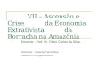 VII – Ascensão e Crise da Economia Extrativista da Borracha na Amazônia Docente : Prof. Dr. Fábio Carlos da Silva Discentes : Ivana Ap. Ferrer Silva Alexandro