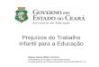 Prejuízos do Trabalho Infantil para a Educação Rejane Helvia Ribeiro Quirino Articuladora de Projetos Interinstitucionais Coordenadoria de Desenvolvimento