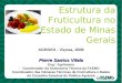 Estrutura da Fruticultura no Estado de Minas Gerais AGROEX - Viçosa, 2009 Pierre Santos Vilela Eng.º Agrônomo Coordenador da Assessoria Técnica da FAEMG