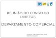 REUNIÃO DO CONSELHO DIRETOR DEPARTAMENTO COMERCIAL Gerente: João Carlos Dela Roca Setembro de 2013