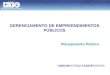 GERENCIAMENTO DE EMPREENDIMENTOS PÚBLICOS CARLOS HENRIQUE LEITE BORGES Planejamento Público