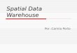 Spatial Data Warehouse Por: Camilo Porto. Apresentação  Revisando esquema estrela... limitações  Spatial Data Warehouse (SDW) Um modelo conceitual Estendendo