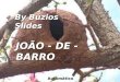 By Búzios Slides JOÃO - DE - BARRO Automático JOÃO-DE-BARRO Arquiteto sem diploma Vemos em muitos lugares ninhos do oleiro João-de- barro; mostro aqui