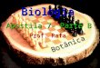 Botânica Biologia Prof. Rafa Apostila 7– Parte B