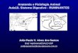 Anatomia e Fisiologia Animal Aula10. Sistema Digestivo - RUMINANTES João Paulo V. Alves dos Santos Eng° Agrônomo/ESALQ-USP profjoaosantos@eduvaleavare.com.br
