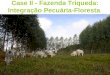 Case II - Fazenda Triqueda: Integração Pecuária-Floresta