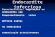 Endocardite infecciosa Característica: vegetações no endocárdio com Comprometimento: valva defeito septal defeito septal no endocárdio no endocárdio comunicação