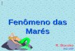 Fenômeno das Marés R. Boczko IAG-USP 02 07 06. Observando a maré A maré!!!