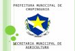 PREFEITURA MUNICIPAL DE CHUPINGUAIA SECRETARIA MUNICIPAL DE AGRICULTURA