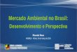 Mercado Ambiental no Brasil: Desenvolvimento e Perspectiva Mercado Ambiental no Brasil: Desenvolvimento e Perspectiva Ricardo Rose ADERES - Vitória, 24