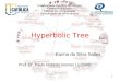 1 Hyperbolic Tree Karina da Silva Salles Universidade Católica de Pelotas Centro Politécnico Ciência da Computação Visualização de Informações Prof. Dr