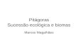 Pitágoras Sucessão ecológica e biomas Marcos Magalhães