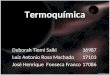 Termoquímica Deborah Tiemi Saiki 16987 Luiz Antonio Rosa Machado 17103 José Henrique Fonseca Franco 17086