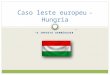 “O IMPOSTO HAMBÚRGUER” Caso leste europeu- Hungria