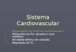 Sistema Cardiovascular Organização do Sistema Cardiovascular: Alterações da P.A. durante o ciclo cardíaco; Atividade elétrica do coração; Regulação da