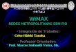 WiMAX  Integrante do Trabalho:  Celso Hideki Tanaka  Professor Orientador:  Prof. Marcos Stefanelli Vieira, Ms. Trabalho de Conclusão de Curso UNIVERSIDADE