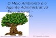 O Meio Ambiente e o Agente Administrativo Educacional – Apoio. Agente Administrativo Educacional - Apoio NTE- Aparecida de Goiânia