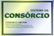 SISTEMA DE CONSUELO AMORIM PRESIDENTE NACIONAL ABAC ASSOCIAÇÃO BRASILEIRA DE ADMINISTRADORAS DE CONSÓRCIOS