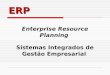 ERP Enterprise Resource Planning Sistemas Integrados de Gest£o Empresarial