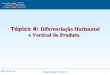 Fátima Barros Organização Industrial 1 Tópico 4: Diferenciação Horizontal e Vertical do Produto