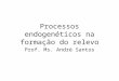 Processos endogenéticos na formação do relevo Prof. Ms. André Santos