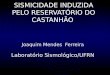 SISMICIDADE INDUZIDA PELO RESERVATÓRIO DO CASTANHÃO Joaquim Mendes Ferreira Laboratório Sismológico/UFRN