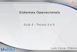 Aula 4 - Temas 4 e 5 Sistemas Operacionais Luis Cezar Ribeiro