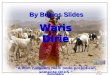 Waris Dirie “A mim ninguém mais pode prejudicar, somente DEUS “ By Búzios Slides Automático