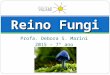 Profa. Debora S. Marini 2015 – 7° ano Reino Fungi