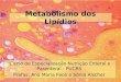 Metabolismo dos Lipídios Curso de Especialização Nutrição Enteral e Parenteral - PUCRS Profas. Ana Maria Feoli e Sônia Alscher