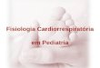 Fisiologia Cardiorrespiratória em Pediatria. Sistemas condutores de ar  Estruturas que permitem a passagem de ar da atmosfera até as unidades que fazem
