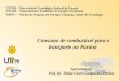Apresentação Prof. Dr. Thulio Cícero Guimarães Pereira UTFPR – Universidade Tecnológica Federal do Paraná DAGEE – Departamento Acadêmico de Gestão e Economia