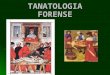 TANATOLOGIA FORENSE. Definições TANATOLOGIA TANATOLOGIA Do grego tanathos (morte) + logia (estudo). MORTE MORTE Do latim "mors, mortis", de "mori" (morrer)