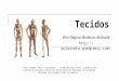 TecidosTecidos “Corpo Humano: Real e Fascinante”, criada por Roy Glover, professor de anatomia e biologia celular da Universidade de Michigan, no estado