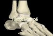 O pé e o tornozelo são estruturas anatômicas muito complexas que consistem de:  26 ossos irregularmente moldados;  30 articulações sinoviais;  Mais