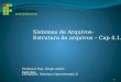 Professor Esp. Diego André Sant’Ana Disciplina: Sistemas Operacionais II Sistemas de Arquivos- Estrutura de arquivos – Cap 4.1.2 1