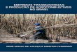 Rede Social de Justiça e Direitos Humanos: Empresas transnacionais e produção de agrocombustiveis no brasil