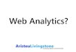 Web Analytics?